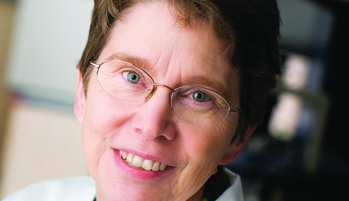 Image with caption: Dr. <b>Anne Kessinger</b> - AnneKessingerHorizontalCrop1